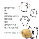 마니무 | 하이감자마니무거라