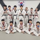 용인대마루한태권도(둔산점) 이미지