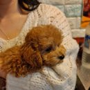 김녕 연지민박 이미지