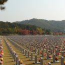 강경젓갈축제 이미지