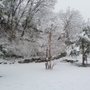 거북애견 이미지