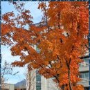 바로 행정사 사무소 이미지