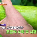 (주)호박미디어
