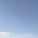 버섯마을 이미지