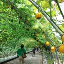 문당환경농업마을 이미지