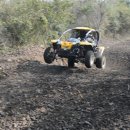 레포츠코리아 이미지