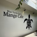 사리팜 | [일본/미야코지마] 3일차 오후_블루터틀 팜 망고카페/오코노미야끼 사리쨩/돈키호테/히가 로드파크