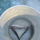 산수낚시터 이미지