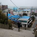 구룡포해풍국수 이미지