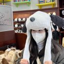해리텍스