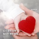 분당-306 | [임신 준비] 06 임신 계획 있다면 챙겨야 할 예방접종 정리 및 분당구보건소 B형간염 접종 후기