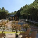 카페독채 네이버블로그