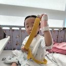 용인대인성태권도 | 용인대현성태권도💙 1년 후기, 양주 옥정 태권도, 유아 태권도, 어린이 태권도, 5세 태권도, 유치부...