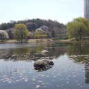 수플러스입시학원 이미지