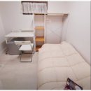 스테이 루나 이미지