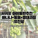 원규농장 | 서귀포 아이와 가볼만한곳 유진팡 내돈내산솔직후기 (바나나따기+동물먹이주기체험)