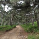 상리 이미지