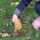 큰사랑꼬마숲어린이집 | 어린이집 단체 수업으로 진행된 가을 유치원 단체 &#39;진주어린이환경박물관&#39;스케치