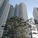 도심수목관리