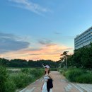인천 네스트호텔 수영장 디럭스 트윈 벙커룸 내돈내산 후기, 인천공항 셔틀버스 ♥