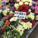 🐶바빴던 5월