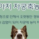 백석동물병원 이미지