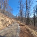 영진목장 이미지