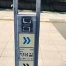 황새울2길 Daum카페