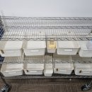 더행복요양병원 이미지