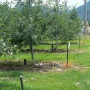 길로농장 이미지