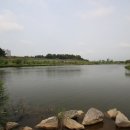 야당5통 이미지