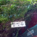 카페394 | [부산카페] 부산 남천동 팥빙수 등나무 감성 카페 남천리팥빙수 내돈내산 후기