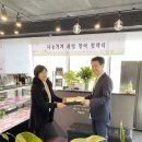 미트포레 이미지