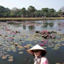 미운오리 이미지