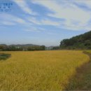 이반성면-1 이미지