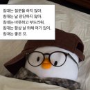 [2월 나트랑] 5일차이자 마지막날 - 바람이랑 싸웠는데 패배..세요 (feat. 판랑사막투어)