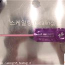 우리애동물병원 이미지