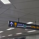 신은파 노래연습장 | 260728(화) 뮤지컬 드라큘라 🧛‍♂️ 자둘 샤큘 영원히 함께하고 파🥹