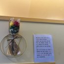 유폴24시 애견셀프목욕 이미지