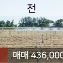 Wellnessclinic동물병원