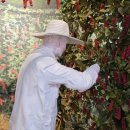 문경도자기 박물관 이미지