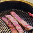 신도세기 강남역점