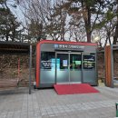 죽림 내죽도공원 이미지