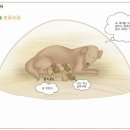 아이통곡모유육아상담실 이미지