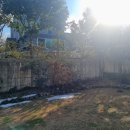 제주탄탄공인중개사사무소 이미지