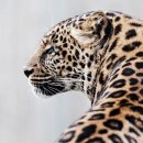 유동물원 이미지