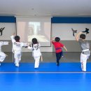 경희대석사한진태권도 이미지