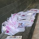 나를품개 이미지