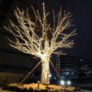 광화문빌딩 앞 이미지