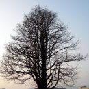 창남초등학교 이미지